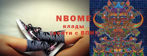 ГАЛЛЮЦИНОГЕННЫЕ ГРИБЫ Липки